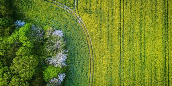 Climate change in recent decades.