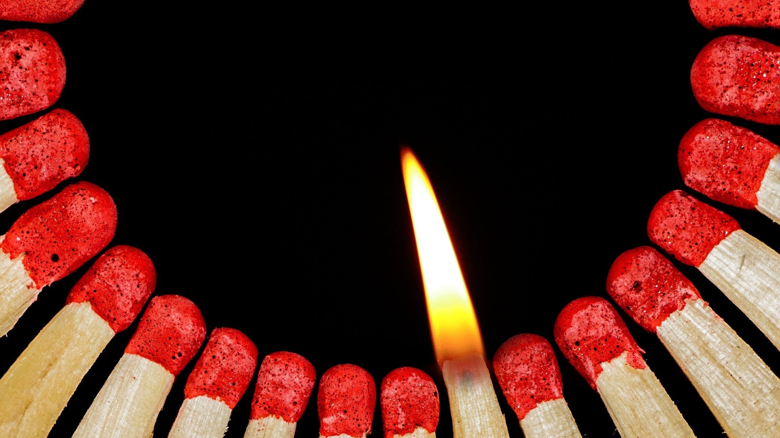 Crisis and opportunity: what hope for vocations?