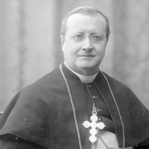 Conforti in ritratti