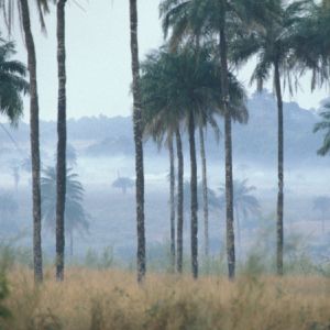 Sierra Leone (Kamabai 1)