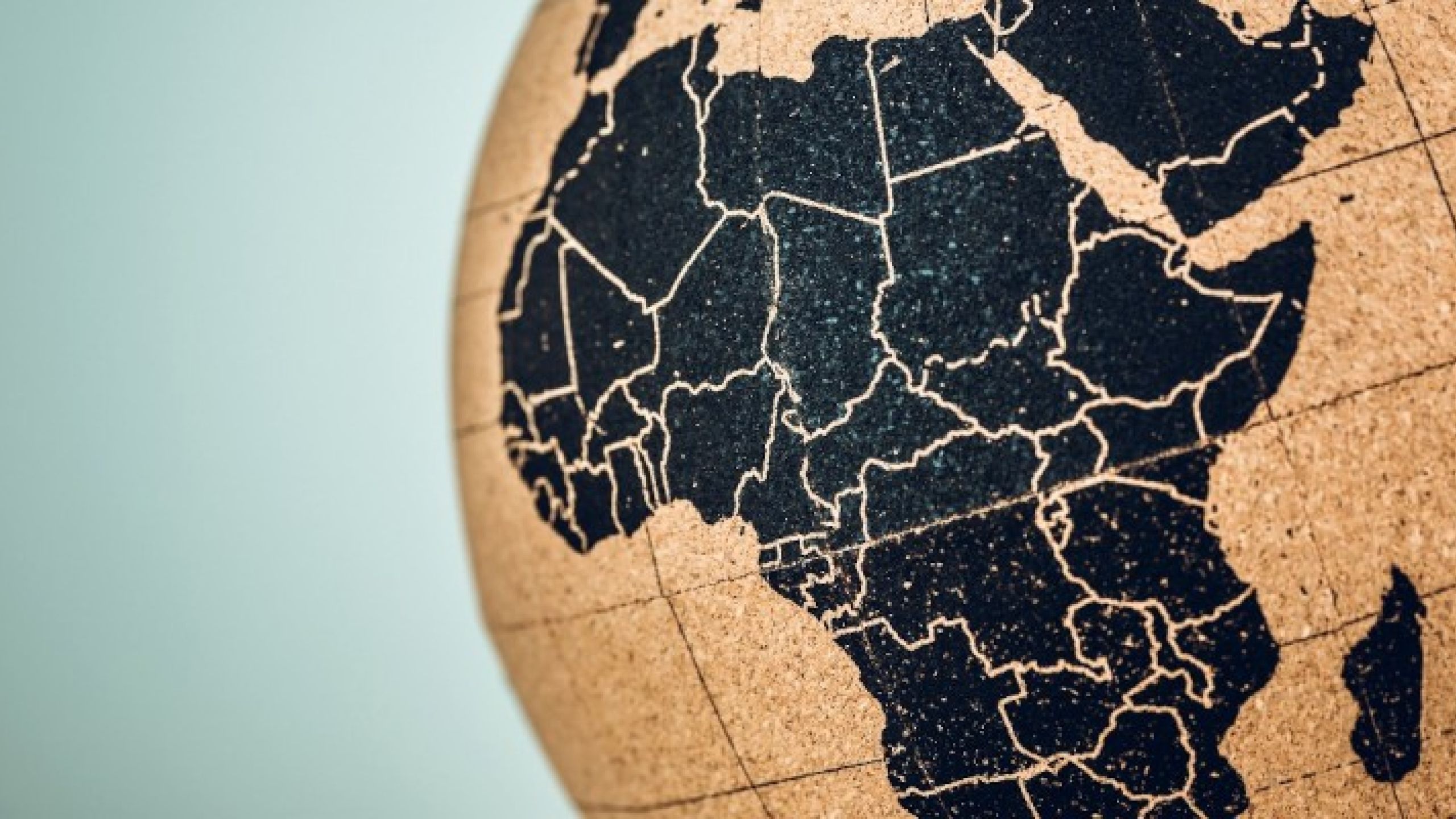 La corsa all’Africa