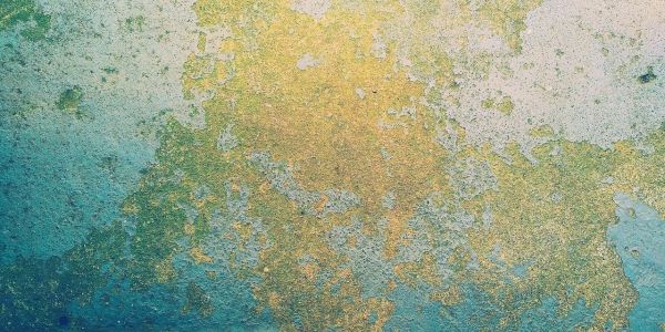 S. Francesco Saverio: "Apostolo delle Indie"