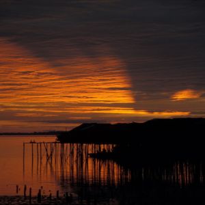 Buenaventura