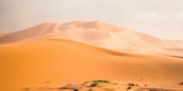 (some) Anniversaries/International Days - From the SX Calendar: January > June