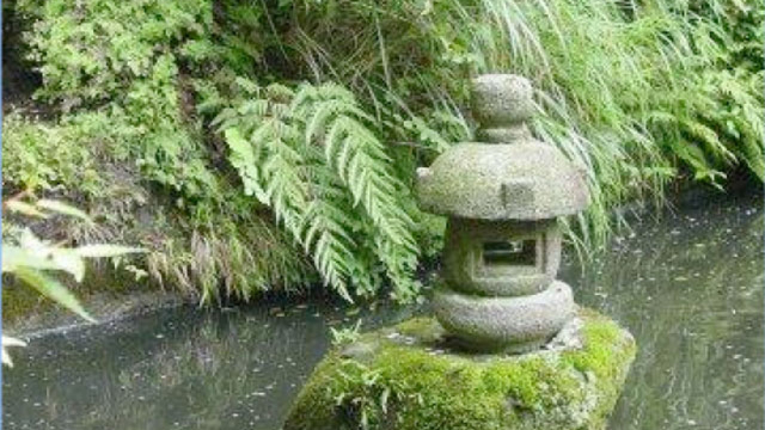 Il tremito della coscienza