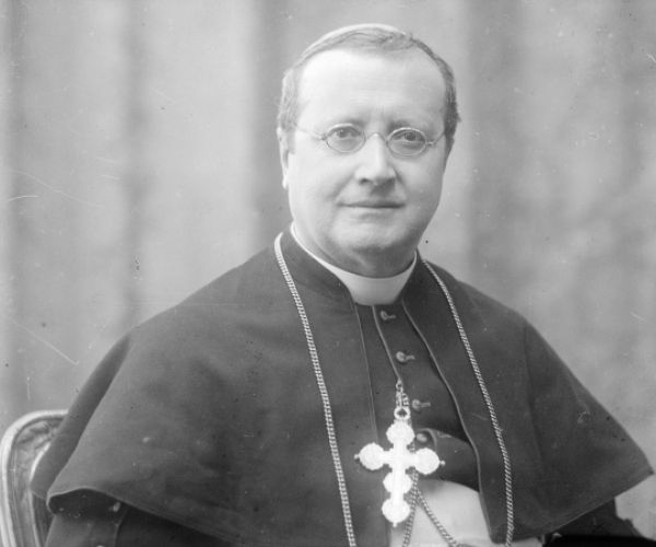 Conforti in ritratti