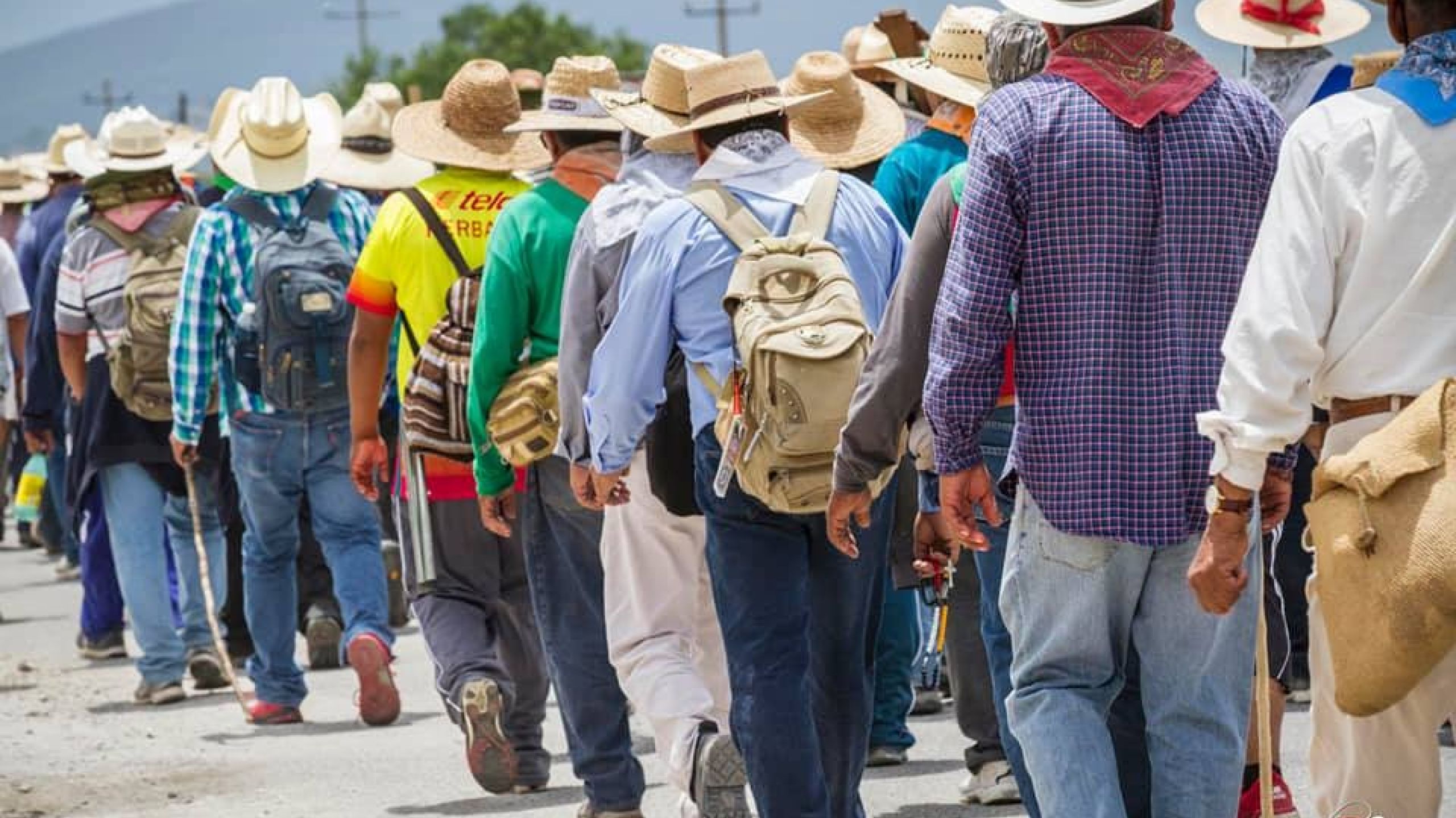 La Iglesia Latinoamericana en proceso de conversión sinodal