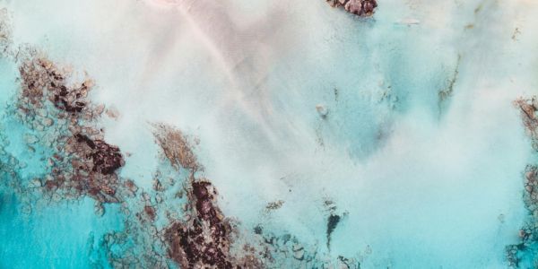 (alcune) Ricorrenze/Giornate Internazionali - Dal Calendario SX: Gennaio > Giugno