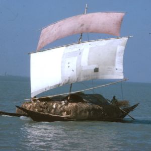 dacca 1977