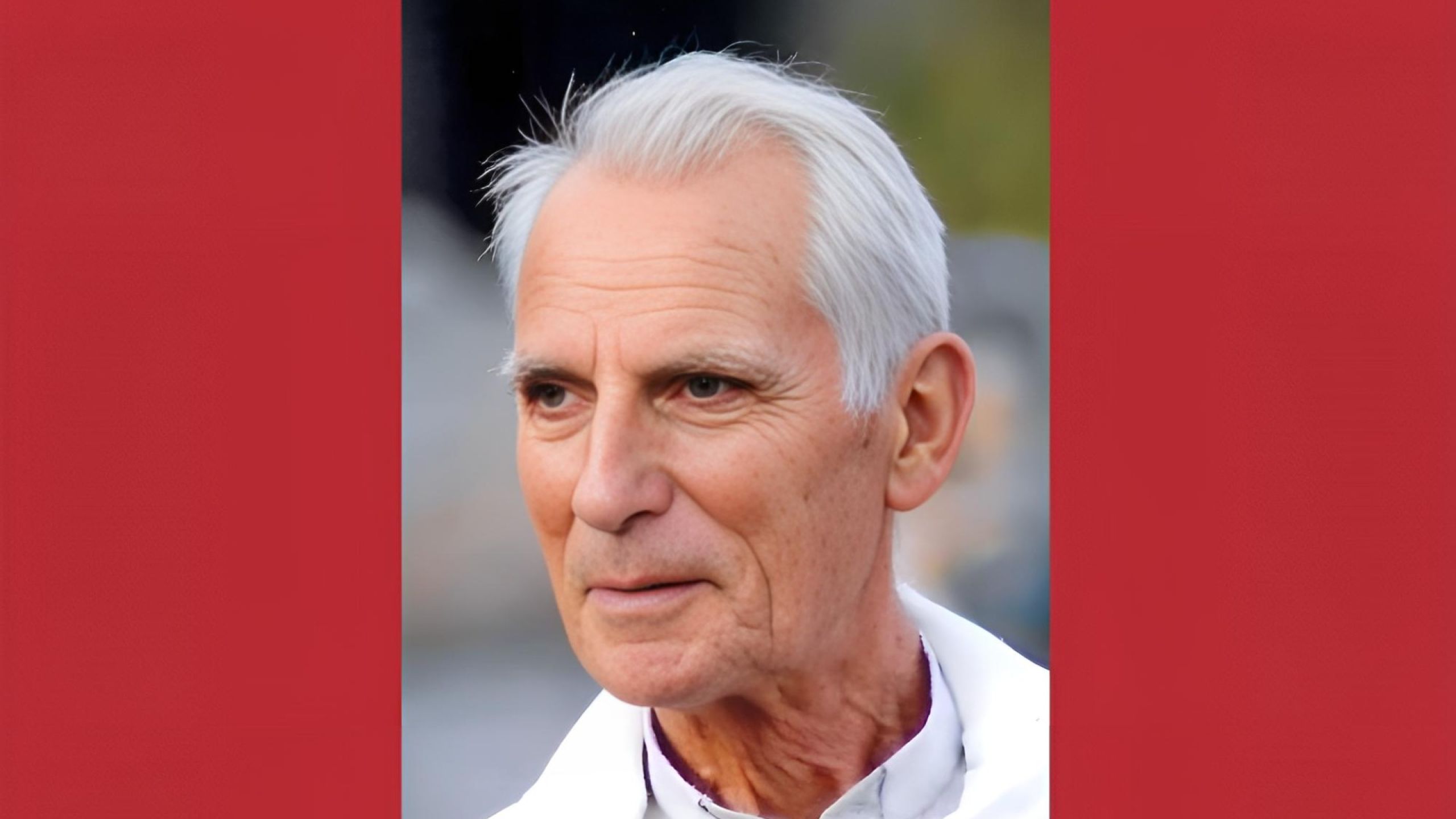 Marcelli P. Ercole