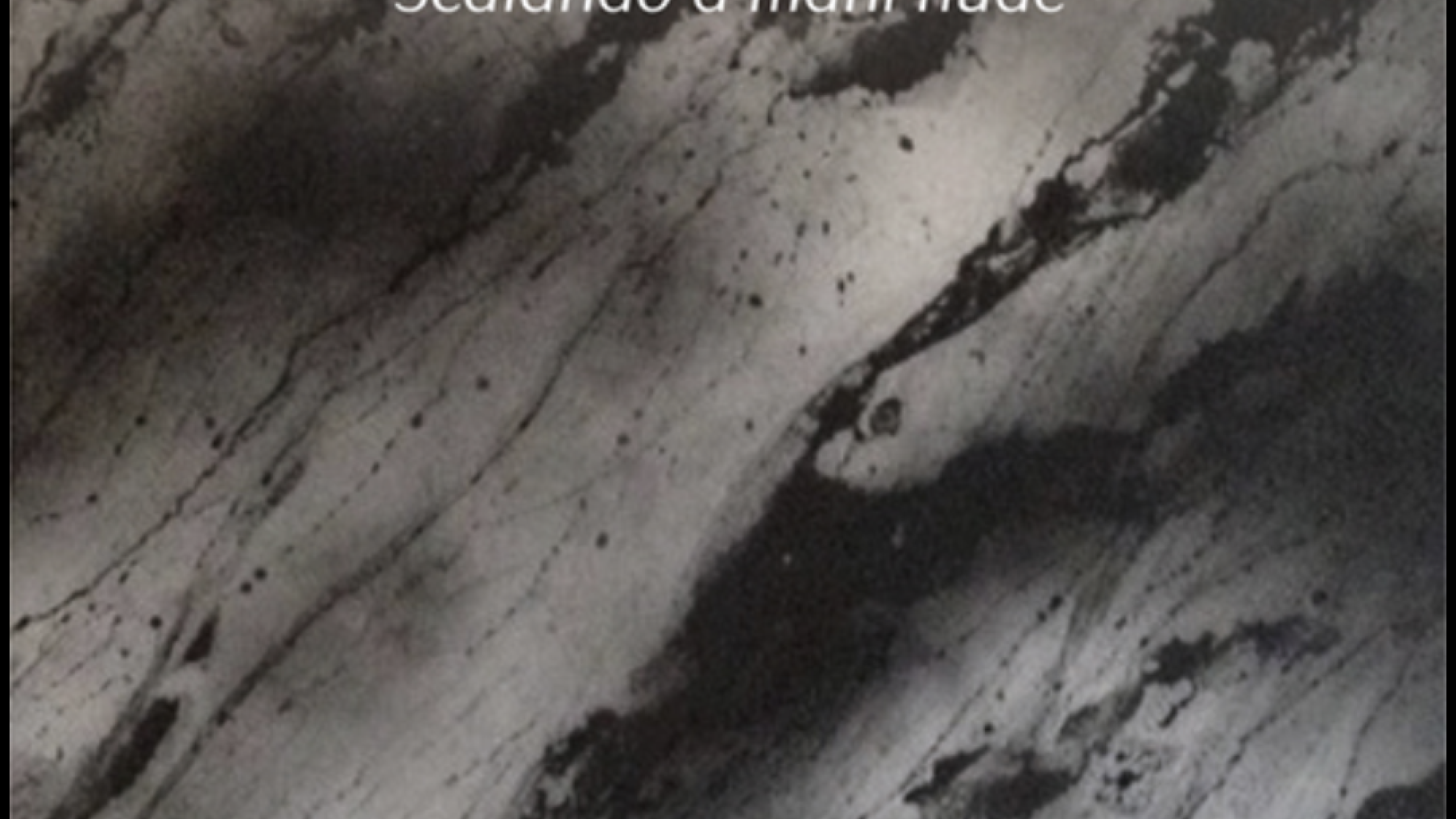 La gratuità e la libertà interiore - Il nuovo libro di Luciano Mazzocchi, SX