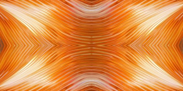 S. Guido Maria Conforti: E' la Speranza che ci anima.